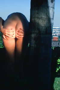 Barbara Corser Penthouse Pet