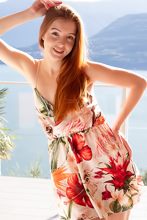 Mary Fox Wonderful Morning Met Art